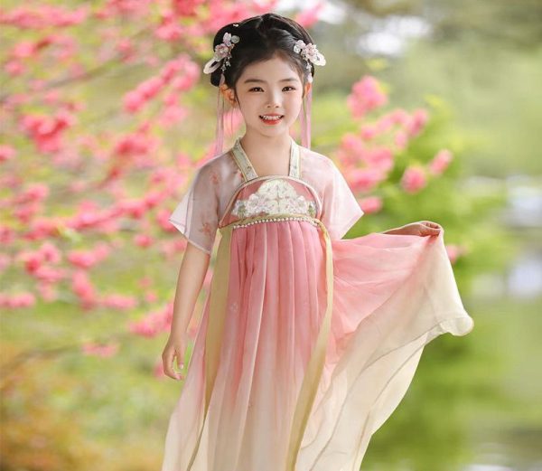 Kids' Hanfu from China A Traditional Design Small Dress Retro Embroidered Flowing Long Dress Spring - Image 2